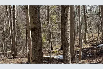 Valley Road, Washington, NH 03280 - Photo 10