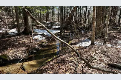 Valley Road, Washington, NH 03280 - Photo 14