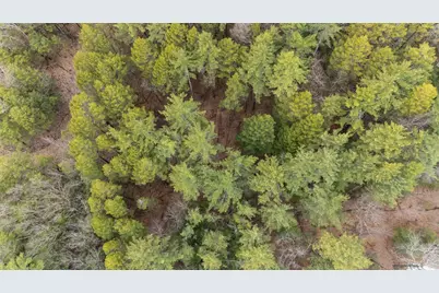 Lot 053 Holt Road, Wilton, NH 03086 - Photo 4