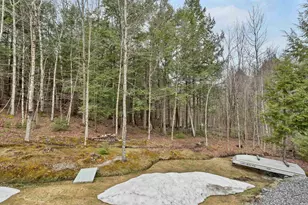 273 W Shore Rd, Bristol, NH 03222 - Photo 6