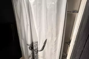 90 Spruce Dr, Farmington, NH 03835 - Photo 6