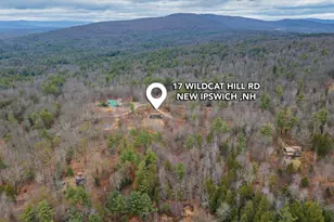 17 Wildcat Hill Rd, New Ipswich, NH 03071 - Photo 2
