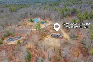 17 Wildcat Hill Rd, New Ipswich, NH 03071 - Photo 42