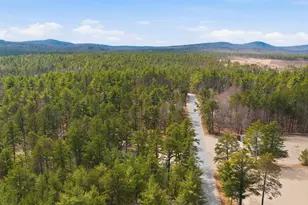 556 Pine River Pond Rd, Wakefield, NH 03872 - Photo 36