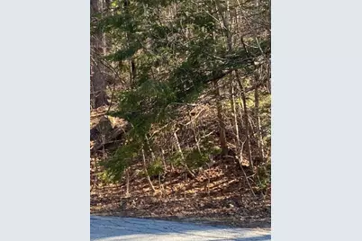 Orchard View Drive #008, Amherst, NH 03031 - Photo 6