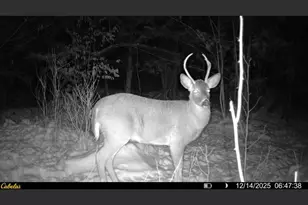 535 Old Turnpike Rd, Salisbury, NH 03268 - Photo 32