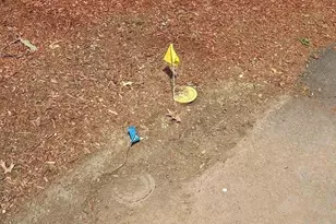 18 Boylston Ave, Nashua, NH 03064 - Photo 10