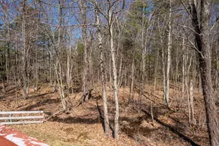 49 Birkdale Rd, Bedford, NH 03110 - Photo 14