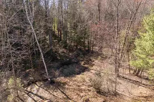 52 Mason Rd, Brookline, NH 03033 - Photo 44