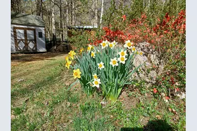 52 Mason Road, Brookline, NH 03033 - Photo 38