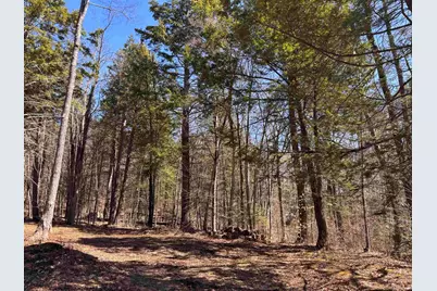 52 Duncan Road, Hancock, NH 03449 - Photo 20