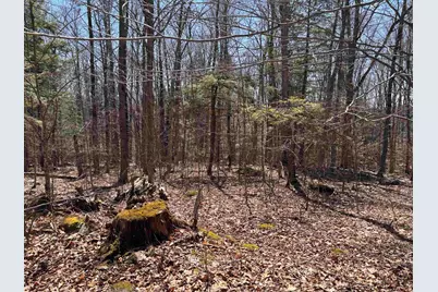 52 Duncan Road, Hancock, NH 03449 - Photo 50
