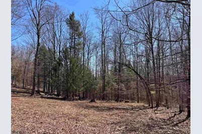 52 Duncan Road, Hancock, NH 03449 - Photo 52