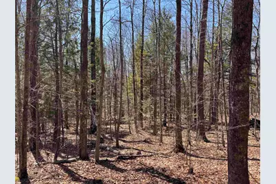 52 Duncan Road, Hancock, NH 03449 - Photo 38