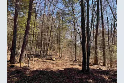 52 Duncan Road, Hancock, NH 03449 - Photo 24