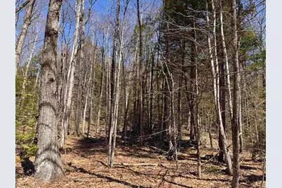 52 Duncan Road, Hancock, NH 03449 - Photo 18