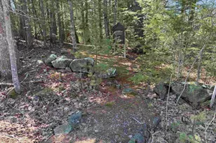 19 Hall's Mill Rd, Newfields, NH 03856 - Photo 60