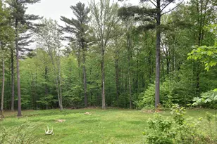 130 Kinsman Rd, Grafton, NH 03240 - Photo 22