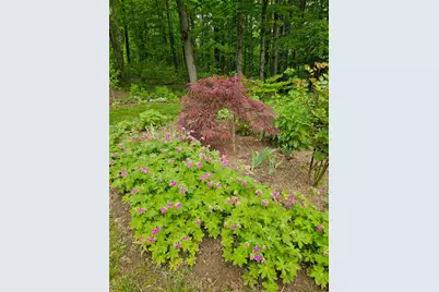 425 Pleasant Street, Rollinsford, NH 03869 - Photo 48