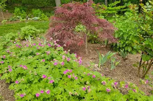 425 Pleasant St, Rollinsford, NH 03869 - Photo 48