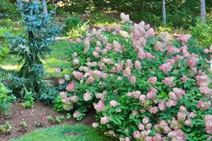 425 Pleasant St, Rollinsford, NH 03869 - Photo 50