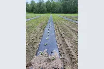 279 Henniker Street, Hillsboro, NH 03244 - Photo 8