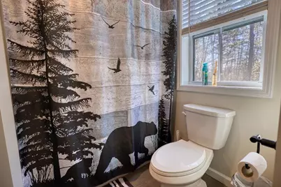 80 White Lake Road, Tamworth, NH 03817 - Photo 14