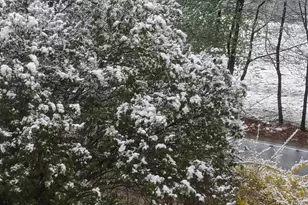 250 Joppa Hill Rd, Bedford, NH 03110 - Photo 30