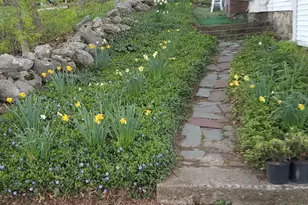 250 Joppa Hill Rd, Bedford, NH 03110 - Photo 28