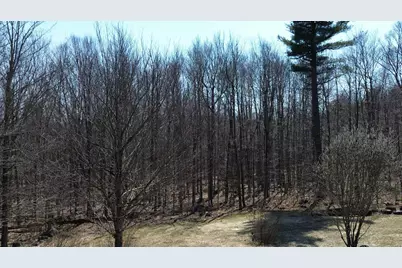 533 Juniper Hill Road, Stoddard, NH 03464 - Photo 22