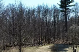 533 Juniper Hill Rd, Stoddard, NH 03464 - Photo 44