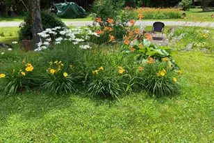 533 Juniper Hill Rd, Stoddard, NH 03464 - Photo 30