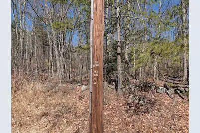 M1,L16 Province Road, Barnstead, NH 03225 - Photo 16