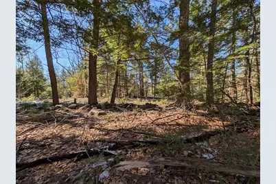 M1,L16 Province Road, Barnstead, NH 03225 - Photo 8