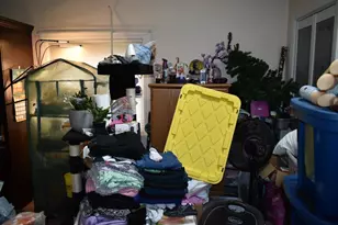 133 Mt Delight Rd, Deerfield, NH 03037 - Photo 14