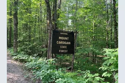 Hoyt Hill Road, Orange, NH 03741 - Photo 32