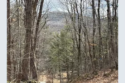 Hoyt Hill Road, Orange, NH 03741 - Photo 26