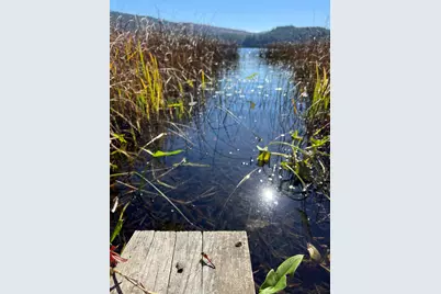 31 Post Pond Lane, Lyme, NH 03768 - Photo 6