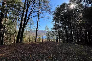 31 Post Pond Ln, Lyme, NH 03768 - Photo 6