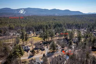 18 Falcon Way, Hale's Location, NH 03860 - Photo 34