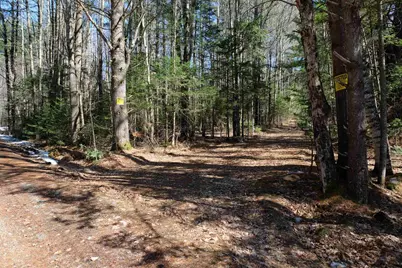 Cape Moonshine Road, Piermont, NH 03779 - Photo 12