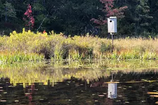 715 Washington Dr, Washington, NH 03280 - Photo 44