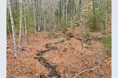78 Hopper Road, Milton, NH 03851 - Photo 2