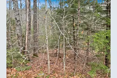 78 Hopper Road, Milton, NH 03851 - Photo 2