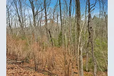 78 Hopper Road, Milton, NH 03851 - Photo 4