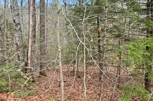 78 Hopper Rd, Milton, NH 03851 - Photo 1