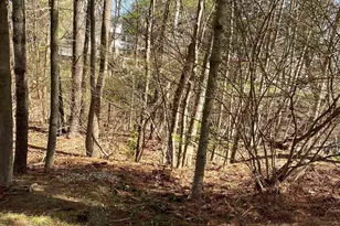 18 Kanata Dr, Nashua, NH 03063 - Photo 20