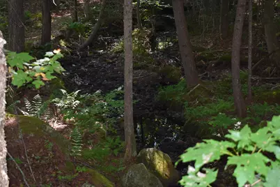 Bald Mountain Road, Rumney, NH 03266 - Photo 12