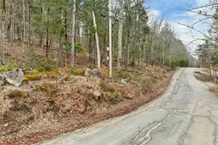 360 S Shore Rd, New Durham, NH 03855 - Photo 32