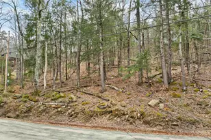 360 S Shore Rd, New Durham, NH 03855 - Photo 34